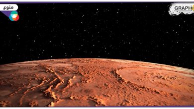 علماء الفضاء: صخور "العنب البري'' على سطح المريخ يمكن أن تحتوي على الماء