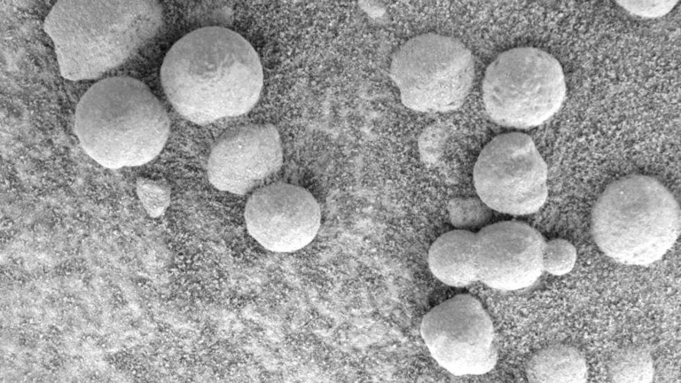علماء الفضاء: صخور "العنب البري'' على سطح المريخ يمكن أن تحتوي على الماء