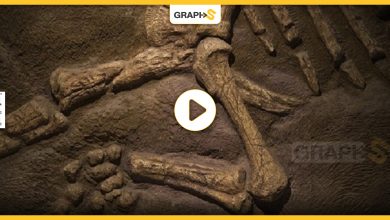 بالفيديو|| اكتشاف هيكل عظمي لامرأة في إندونيسيا.. عاشت قبل أكثر من 7200 عام وسلالتها البشرية لم ُيسمع بها على مر التاريخ