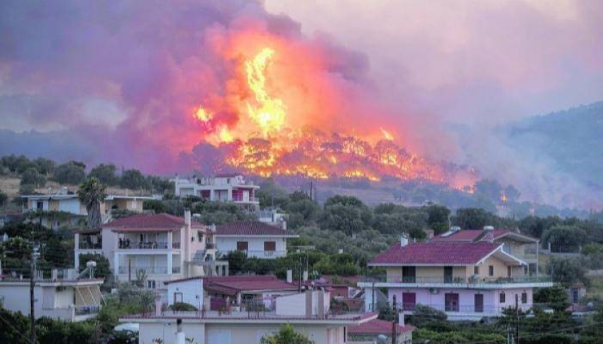 أخبار العالم" بسبب الحرائق مدينة كاملة تمحى معالمها في كاليفورنيا وهروب بالآلاف من أثينا.. عشرات القتلى في تركيا وألاسكا بسبب الحوادث 