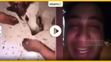 بالفيديو|| انهيار شاب أردني مفجوعاً على كلبته في عمّان يثير غضب رواد مواقع التواصل بالبلاد