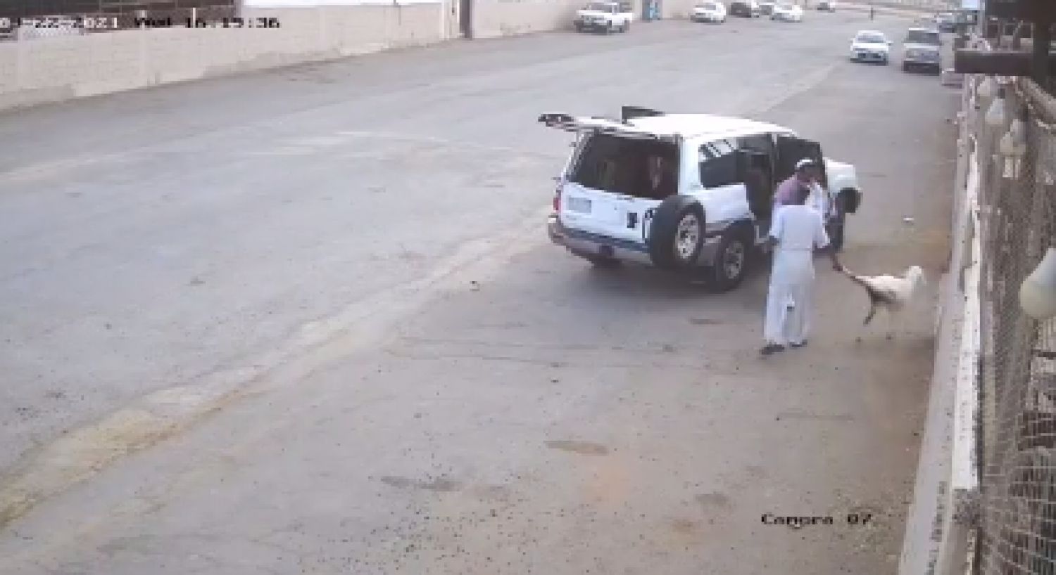 بالفيديو|| رجلان يسرقان وسط الشارع بوضح النهار في الرياض..اعتديا على صاحب الملكية وحاولا قتله