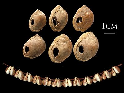 شاهد: اكتشاف أقدم مجوهرات في التاريخ.. وجدت في دولة عربية وعمرها تجاوز الـ 150 ألف عام 