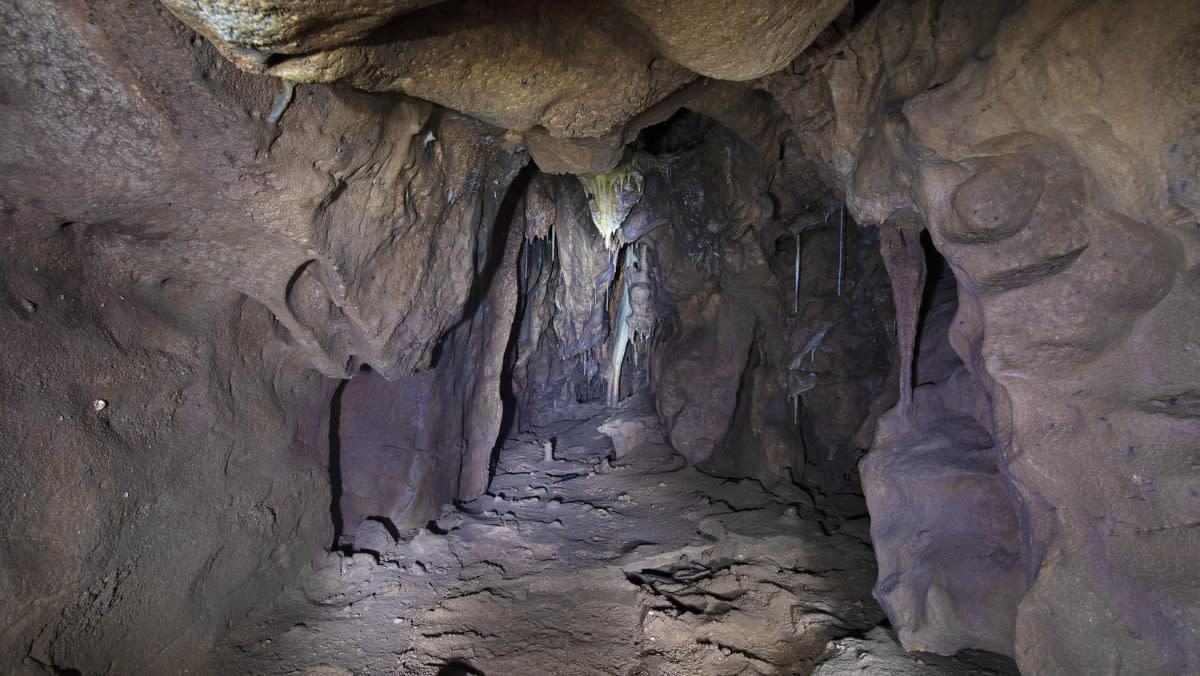 بالفيديو والصور|| اكتشاف أثري عمره أكثر من 40 ألف عام داخل كهف بجبل طارق