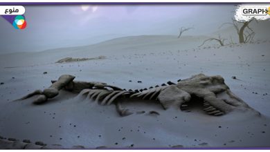"انقراض جماعي لم يشهده أحد" حدث في شبه الجزيرة العربية وإفريقيا قبل حوالي 30 مليون عام.. فما سببه