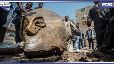 شاهد: "اكتشاف العمر".. علماء الآثار يعثرون على تمثال عملاق لفرعون مجهول