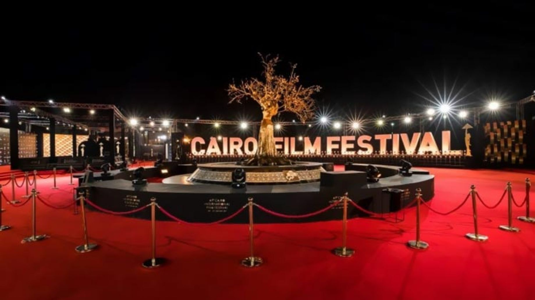 تعرف إلى قائمة الأفلام المشاركة في أسبوع النقاد الدولي بمهرجان القاهرة السينمائي 