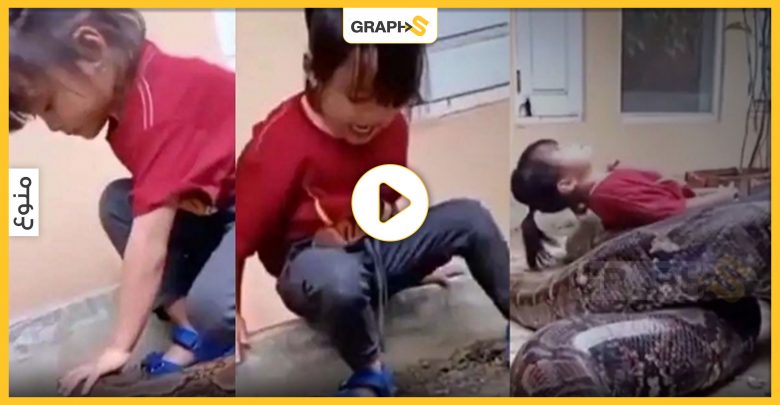 بالفيديو|| فتاة صغيرة تلعب مع ثعبان ضخم ومخيف وترمي بنفسها عليه وردة فعله أثارت رواد مواقع التواصل