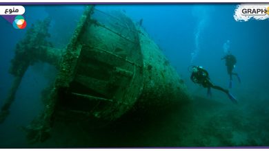 شاهد: العثور على كنز باهظ الثمن داخل حطام سفينة غرقت منذ 120 عاماً