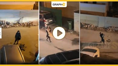 بالفيديو|| فتاة تُسيطر على أسد وتحمله بين ذراعيها.. كان يجوب شوارع الكويت مروعاً الأهالي