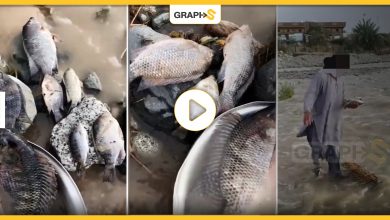 "ظاهرة غريبة" تشهدها السعودية.. أسماك تظهر بشكلٍ مفاجئ في مياه سيول الأمطار بالطائف