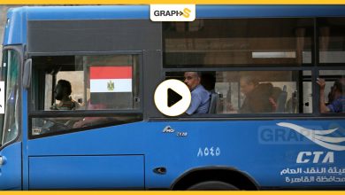 بالفيديو|| لحظة سقوط شجرة ضخمة على حافلة نقل ركاب في مصر .. مات وأصيب العشرات