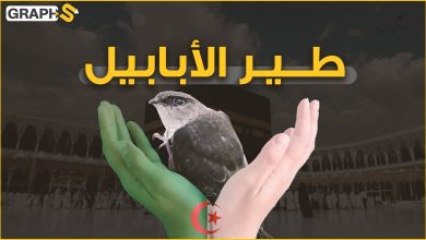 طير الأبابيل .. أنقذ الله تعالى به الكعبة ويظهر الآن فقط في الجزائر.. فهل هو حقيقة أم مجرد وأساطير