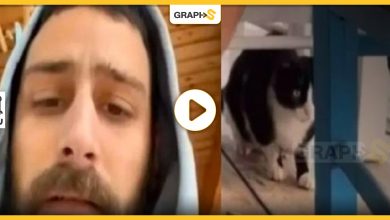 مقطع مصور لرجل يوناني مع قطة يكلفه 10 سنوات سجن ودفع 50 ألف يورو -فيديو