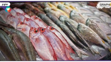 بائع خبير يوضح 5 علامات لمعرفة السمك الطازج من غيره -فيديو