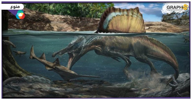في أوروبا: اكتشاف مثير .. بقايا ديناصور ضخم جداً ومفترس