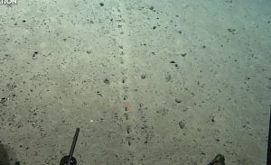 اكتشاف ثقوب غامضة في قاع المحيط الأطلسي جعلت العلماء في حيرة من أمرهم