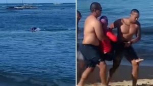 فقمه تهاجم امرأة في البحر وزوجها يصور الحادثة (فيديو)