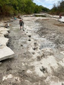 جفاف نهر في تكساس يكشف عن آثار أقدام ديناصورات عمرها 113 مليون عام(صور)