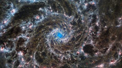 شاهد تلسكوب جيمس ويب يلتقط صوراً لمجرة تبعد عنا 33 مليون سنة ضوئية
