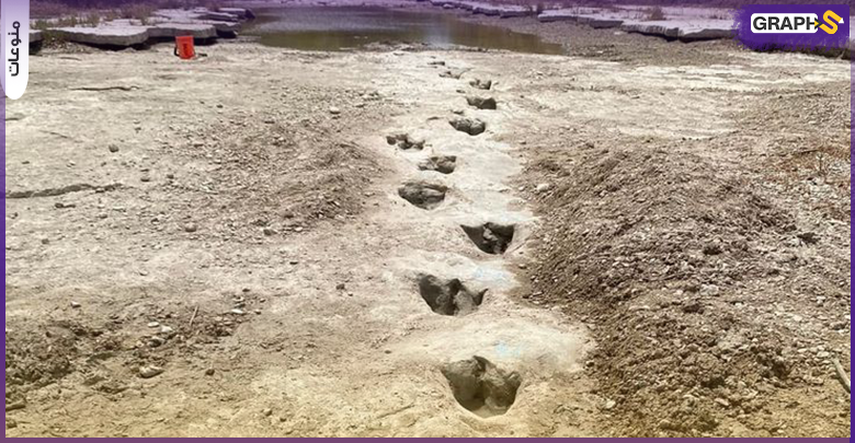 جفاف نهر في تكساس يكشف عن آثار أقدام ديناصورات عمرها 113 مليون عام (صور)