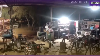 بالفيديو.. مزارع شجاع يواجه 3 لصوص مسلحين