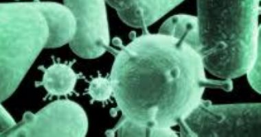الفرق بين العدوى البكتيرية والعدوى الفيروسية