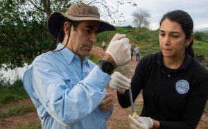 أفراس النهر التي امتلكها بابلو إسكوبار تتسبب مشاكل بيئية لكولومبيا