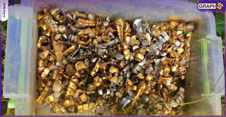 شاهد.. العثور على صندوق من الأسنان الذهبية المقطوعة من الأوكرانيين في غرفة تعذيب روسية