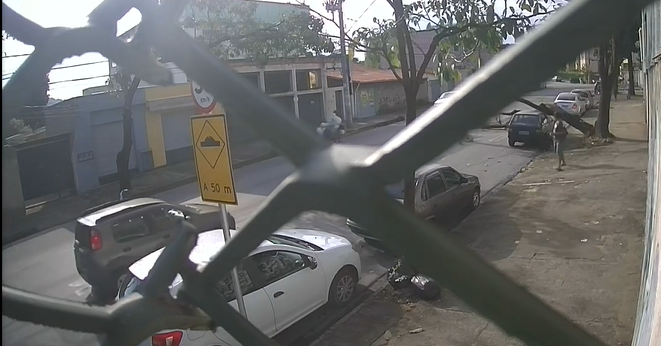 بالفيديو|| نجاة شاب بأعجوبة بعد سقوط شجرة بالقرب منه