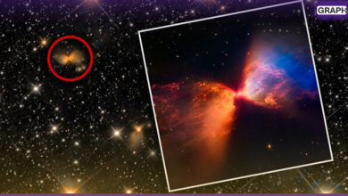 شاهد.. تلسكوب جيمس ويب يلتقط صوراً لنجم مولود حديثاً