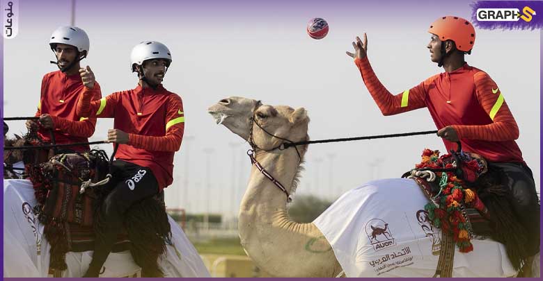 شاهد: مباراة كرة يد بين الهجانة وعلى ظهر الإبل في قطر