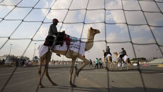 مباراة كرة يد بين الهجانة في قطر