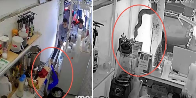 ثعبان ضخم يسقط على عاملة في تايلند