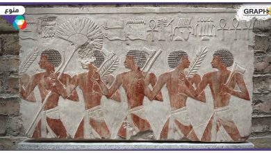 أهم 10 اكتشافات مصرية