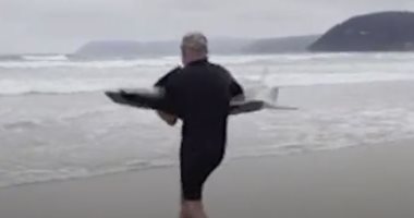 رجل أسترالي يعرض حياته للخطر لإنقاذ سمكة قرش - فيديو