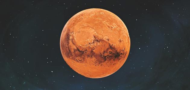 اكتشاف محيّر على الكوكب الأحمر.. "دب على المريخ" -صورة
