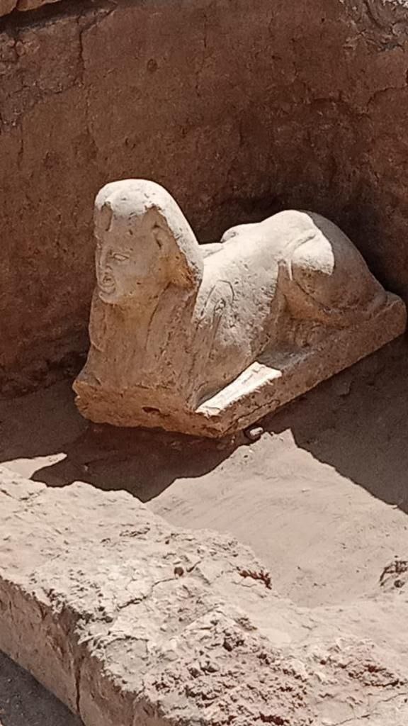 شاهد|| العثور على تمثال جديد يشبه أبو الهول في مصر 