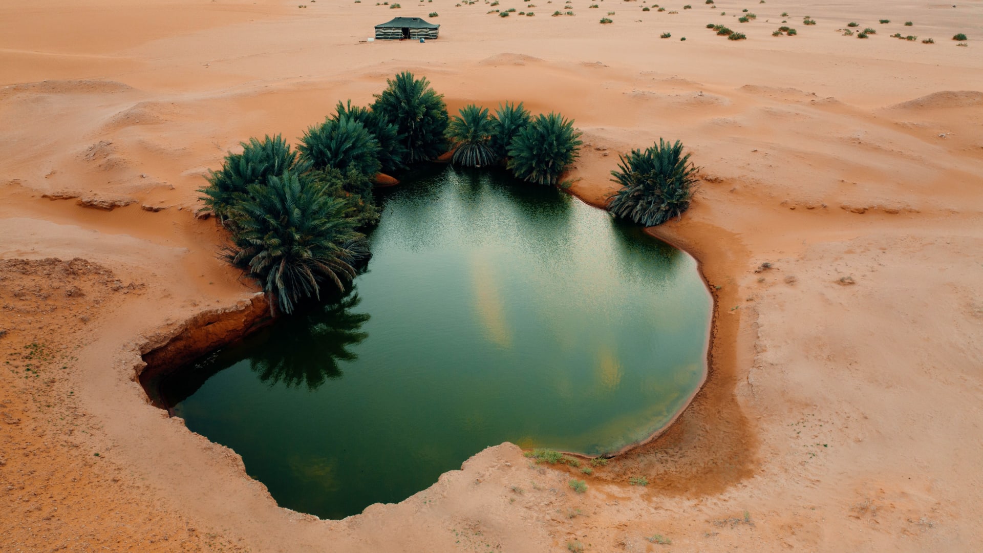 شاهد| اكتشاف واحة على شكل قلب تتوسط الكثبان الرملية بالصحراء السعودية