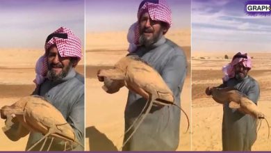 سمكة سلور على قيد الحياة وسط صحراء السعودية