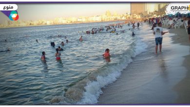 ظهور كائن بحري غامض في شواطئ الإسكندرية -صورة