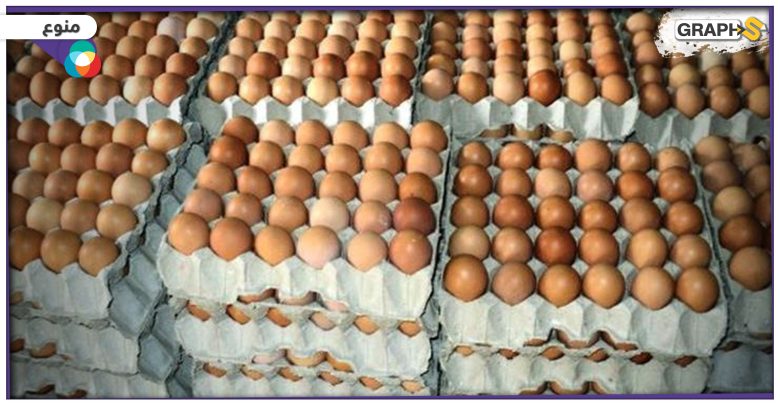 "كرتونة البيض" فكرة بسيطة تدّر 8 مليارات دولار سنويا