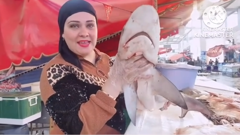 شاهد: مطالبات شعبية بمحاسبة شيف مصرية لاصطيادها سمكة القرش وطبخها