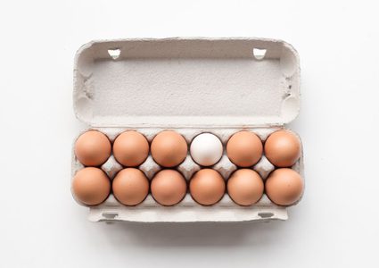  "كرتونة البيض" فكرة بسيطة تدّر 8 مليارات دولار سنويا
