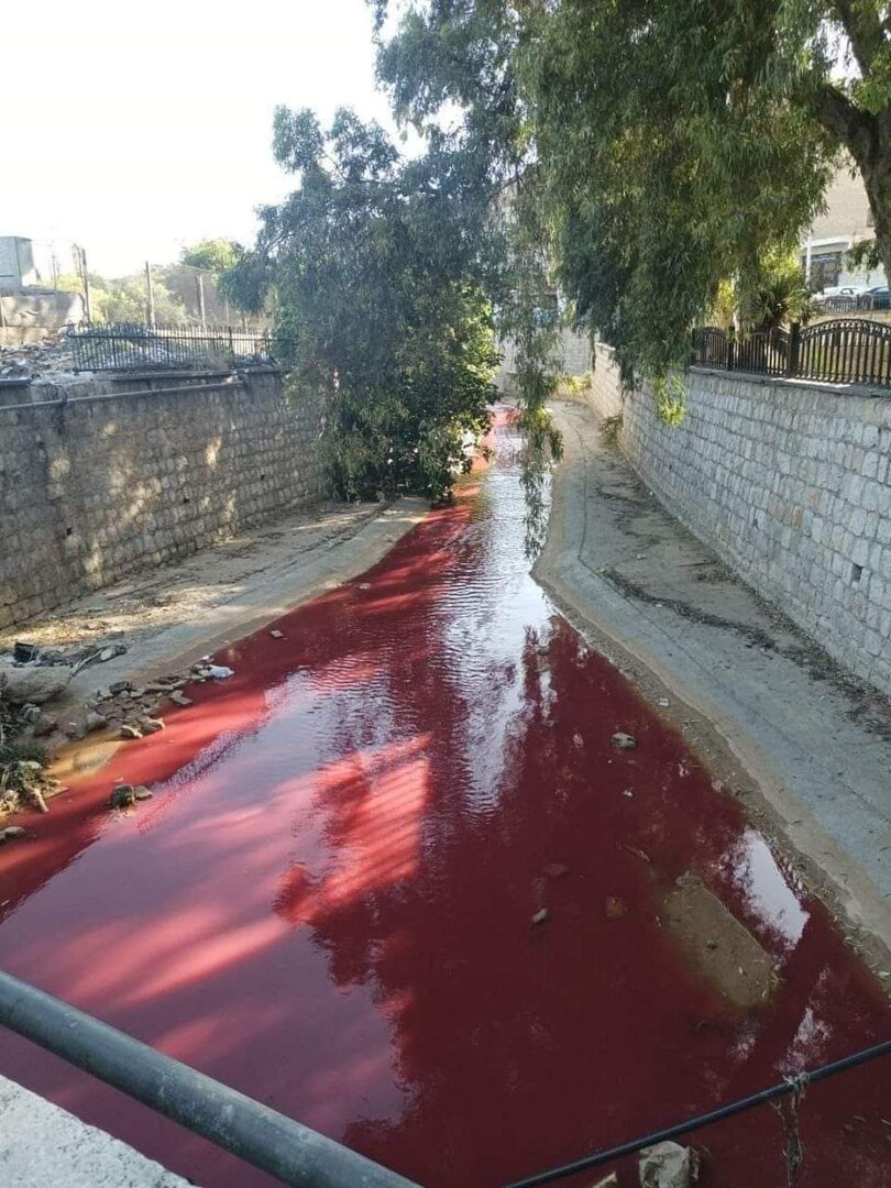 شاهد: تحوّل لون مياه نهر بردى في دمشق إلى اللون الأحمر والخبراء يوضحون