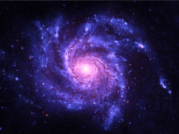 رصد "قنديل بحر كونيا" مميزا يولّد نجوماً .. يبعد عن الأرض 700 مليون سنة ضوئية -فيديو