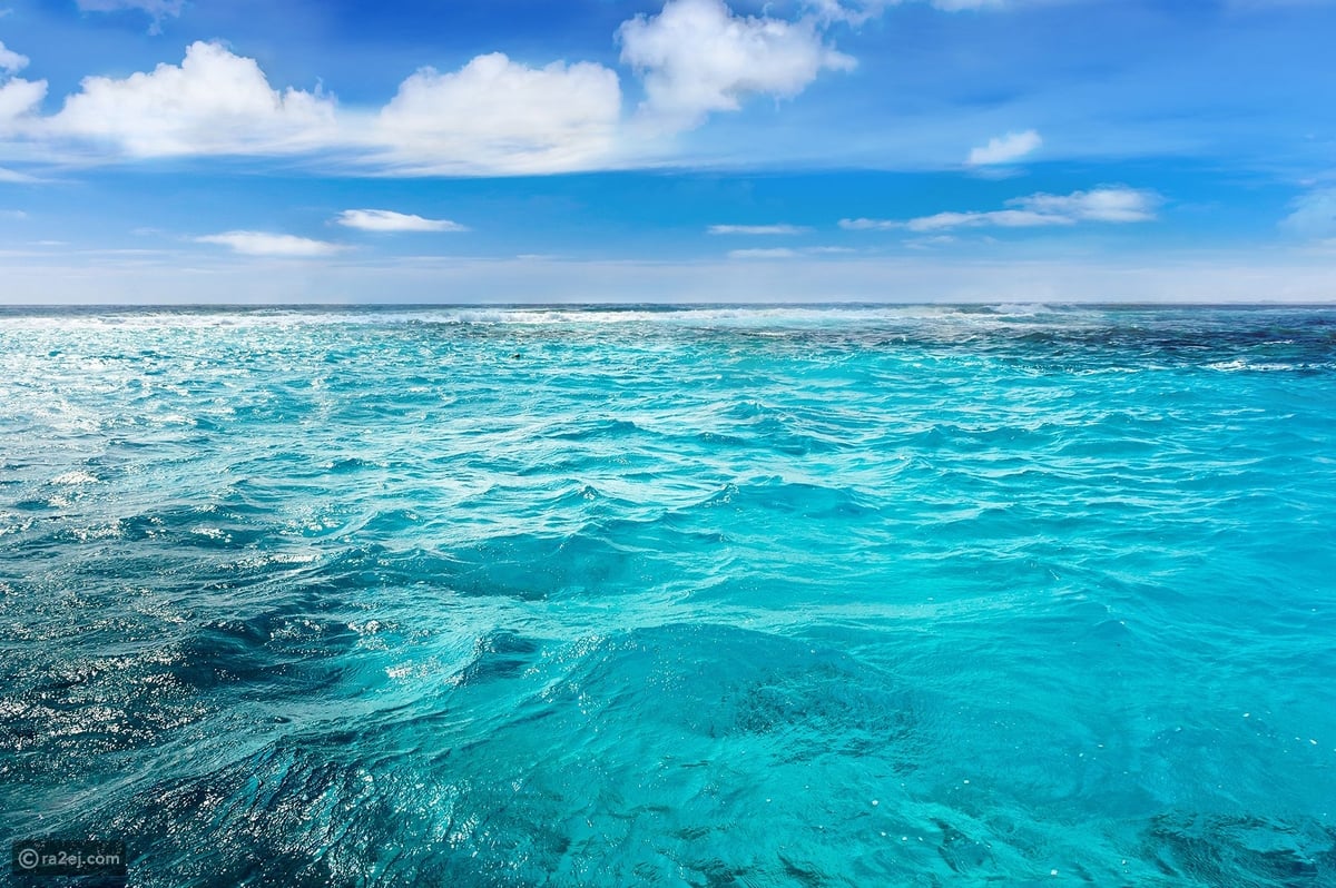 العلماء يحلون لغز تغير لون أكثر من نصف محيطات الأرض