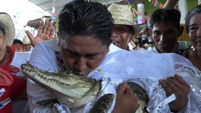 شاهد: مراسم زفاف رئيس بلدية بالمكسيك على أنثى تمساح