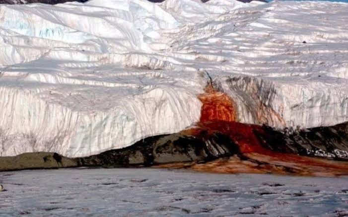  بعد قرن من الزمن.. العلماء يلحون لغز "شلال الدماء" الغامض بالقارة القطبية الجنوبية