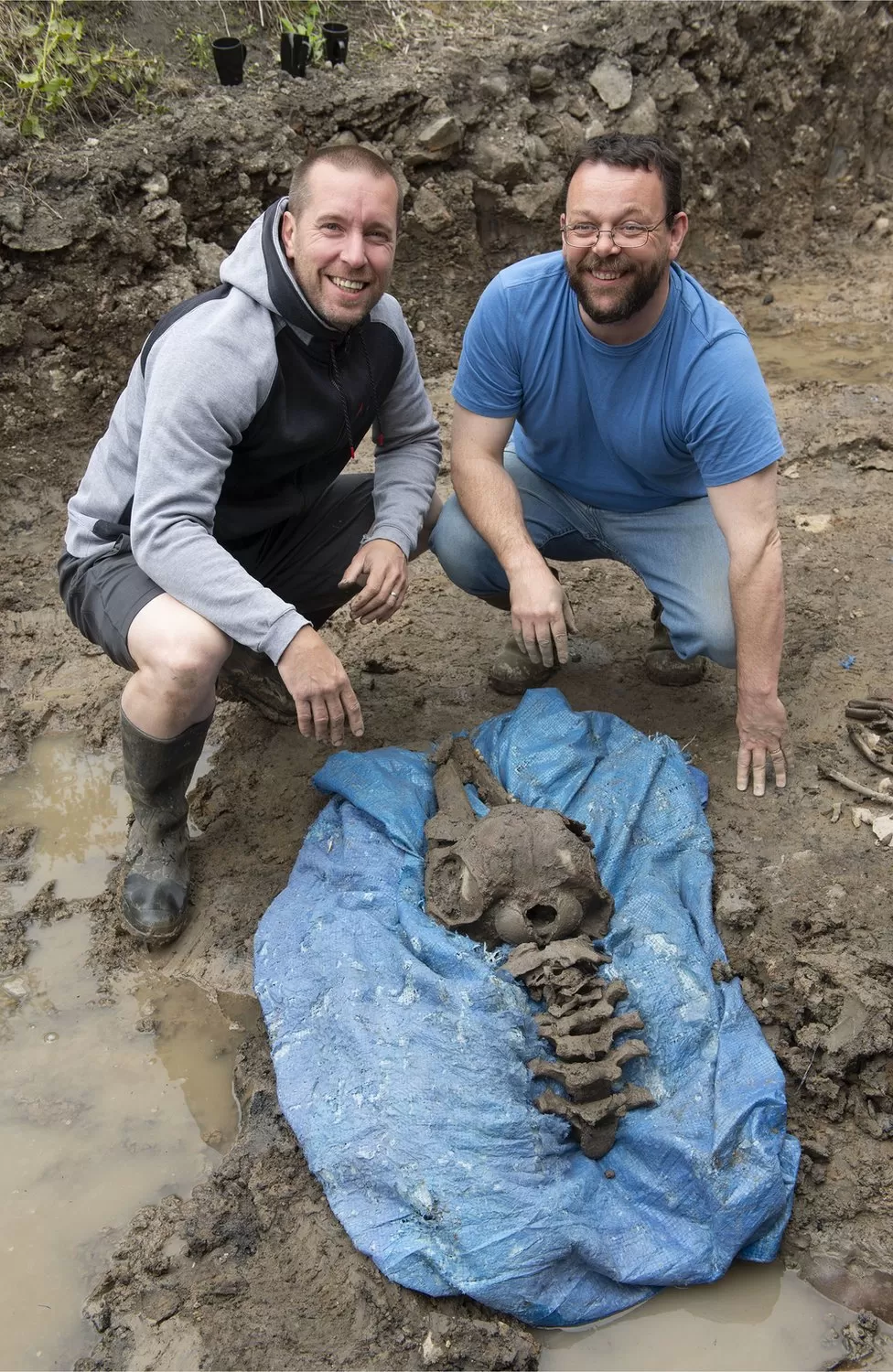 مواطن اسكتلندي يعثر على عظام دلفين عمرها 8000 عام في فناء منزله